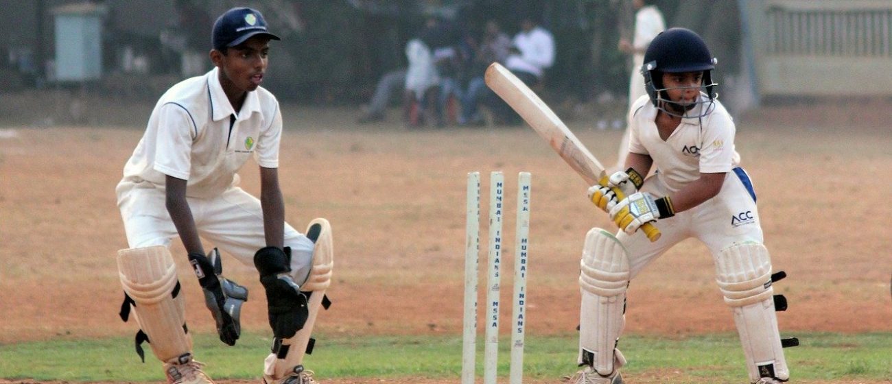 cricket cricket